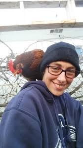 Rebecca's Rhode Island Reds