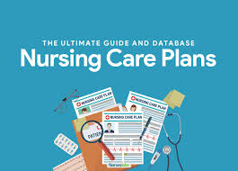 nursing care plan ncp ultimate guide and database