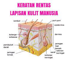 Keratan rentas potongan si dfcc with cheese ! Facebook