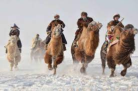 The tour takes you to famous destinations as gobi, dukha (reindeer) people, famous it takes you through the spectacular, diverse landscape, amazing hospitable culture and magnificent visit a camel herding family and ride camel to sand dunes then climb to its summit. Mongolia Private Camel Trekking Sitename