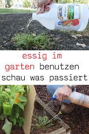 Dabei gilt es jedoch einiges zu beachten, essig bzw. Essig Im Garten Benutzen Schau Was Passiert Gaten Ameisen Im Garten Garten Essig