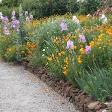 Moisture, full sun to part shade. Perennial Plants For Year Round Colour Nurseries Online