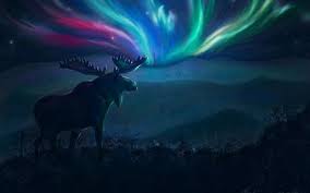 Beautiful Northern Lights Desktop Nexus Wallpapers Northern Lights Art Moose Painting Northern Lights Painting
