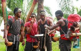 Nigerian breweries'top reality television series, gulder ultimate search (gus), is likely to bounce back after a long break. Msuliy Lkjgetm