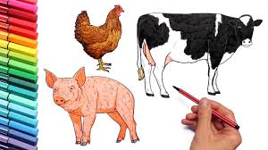 Maybe you would like to learn more about one of these? Farm Animal Collecion Drawing And Coloring Pig Cow Chiken Horse Color Pages For Kids Youtube