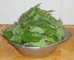 We did not find results for: Frittata Di Ortiche Mangiare Bene