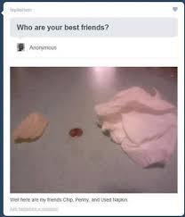 You Know You Re A Spongebob Fan When You Tell Everyone Your Best Friends Are A Penny A Chip And A Used Napkin Tumblr Funny Funny Comments Spongebob
