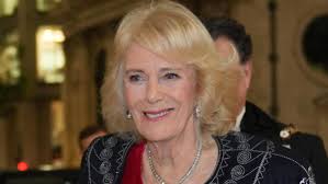 Prins William og prins Harry i sorg