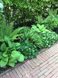 Gartenumrandung In 2020 Hosta Garten Garten Garten Anlegen