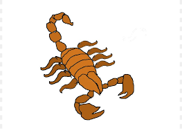 Scorpion Animation Clip Art Png 800x600px Scorpion Animal Figure Animation Artwork Cartoon Download Free Cartoon scorpion vectors and psd free download. scorpion animation clip art png