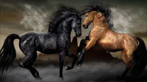 Paint Black And Brown Horse Two Horses Black And Brown Wallpapers Hd Horse Wallpaper Horses Beautiful Horses