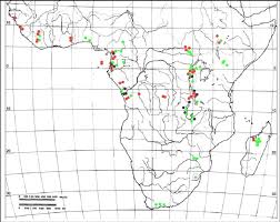 Image result for Antrophyum mannianum