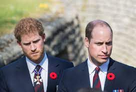 Prince henry (harry) charles albert david of the united kingdom, duke of sussex; Prince William And Prince Harry Feud Timeline Royal Rift Explained