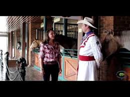 Inside Look At Dixie Stampede In Pigeon Forge Tn Youtube