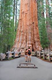 How many of these sites have you checked off your list? 25 Best Things To Do In California The Crazy Tourist