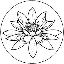 Water Lily Blossom Coloring Page Super Coloring Lilies Drawing Water Lily Drawing Flower Coloring Pages