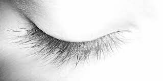 Eye pencil sketch pencil sketch tutorial sketches tutorial how to draw eyelashes eyelashes drawing male face drawing body drawing figure drawing realistic drawings. Closed Eye Closed Window0 Eye Drawing Eyes Sketch Eye Drawing Realistic