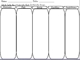 Colors for the latest bootstrap 5. 5 Vertebrates Worksheets Teaching Resources Teachers Pay Teachers