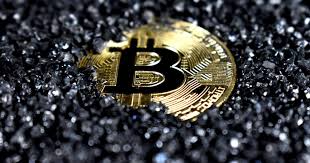 The price of bitcoin could nosedive to zero, a top investor in the crypto space told cnbc during a debate, which focused on the future of the underlying it was trading at $3,571 at around 11.15 a.m. Microstrategy Reports Up To 52 Increase In Revenue Says Might Sell Bitcoin In The Future Microstrategy Mstr Benzinga