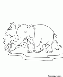 The much more the child colours, the more they are going to love animals. Elephant Coloring Pages To Print Coloring Home