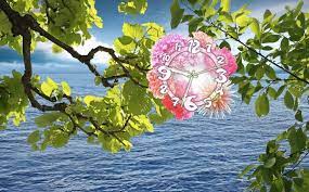 Best Ideas About Live Wallpaper For Pc On Pinterest Animated 1920 1200 Free Download Live Wallpap Live Wallpapers Free Animated Wallpaper Free Live Wallpapers