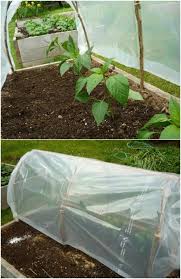 I discovered last season that upended clear and opaque plastic bins make exemplary cold frames for growing things in the garden in cool weather. 20 Free Diy Greenhouse Plans You Ll Want To Make Right Away Diy Crafts