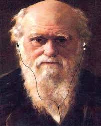 Seals, Ahoy! From Vineyard to Tasting Room Frontlines of the Nursing  Shortage