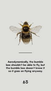 Quote Of The Day Aerodynamically The Bumble Bee Shouldn T Be Able To Fly But Queen Bee Quotes Bee Bee Quotes