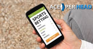 Check spelling or type a new query. 7 Personality Traits To Become A Bookie Licensed Pay Per Head Service