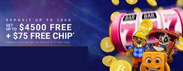 New no deposit casinos for june 2021. Crypto Reels Casino No Deposit Bonus Codes 75 Free Chip Cryptoreelscasino Com