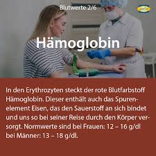 Lavita Zu Niedrige Werte Fallt Der Hb Wert Unter Die Facebook