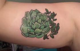 Find 1 listings related to wildside tattoo in myrtle beach on yp.com. Succulent Tattoo On Inside Right Bicep By Jocelyn At Wildside Tattoo In Myrtle Beach South Carolina Tattoos