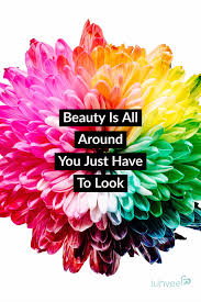 Beauty Is Everywhere Quote Life Quote Positive Quotes Motivational Quote Daily Inspiration Fb Positive Quotes Some Motivational Quotes Good Life Quotes