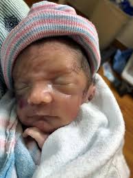 Nicholas Natale Obituary