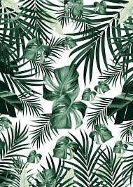 Tropical Jungle Leaves 4a Poster Print By Anita S Bella S Art Displate In 2021 Poster Prints Leaf Photography Nature Posters