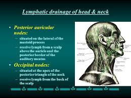 Swollen lymph nodes can be caused by a variety of problems like infections (mono, ear), cancers, hiv, and other symptoms like fever, night sweats, weight loss, toothache, or sore throat. Lymphatic Drainage Of The Head And Neck Ppt Video Online Download