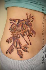 Leafy Sea Dragon By Stretch Tattoonow With its curly tail, delicate an unusual species of seahorse is the sea dragon. tattoonow