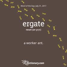 Today S Word Of The Day Is Ergate Learn Its Definition Pronunciation Etymology And More Join Over 19 Million Fans Who Bo Uncommon Words Words Unusual Words