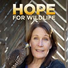 Hope for Wildlife säsong 3