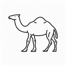 They will stick as long as you need them to, but are completely. Camel Desert Desert Animal Four Legged Animal Hump Mammal Emoji Icon Download On Iconfinder