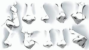 I show different ways to draw stylized. Comic Style Noses Various Angles By Robertmarzullo Nose Drawing Drawing Angles Cartoon Drawings
