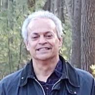 lionking #disney #2danimation #2danimator #adobeanimate #animation  #freelancer #animalart