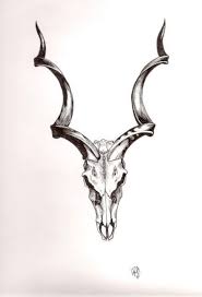 Drawing Skull Animal Deviantart 37 Best Ideas Animal Skull Tattoos Deer Skull Tattoos Bull Skull Tattoos