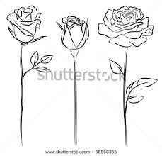 Roses black outline drawing on white background vector. Pin On Tattoo