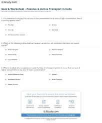 Photos of the 30 create active and passive transport worksheet. Quiz Worksheet Passive Active Transport Cells Study Transportation Spreadsheet Golagoon