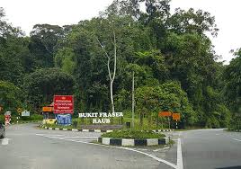 Check restrictions for your trip. A Short Stop For Paddock And Archery Fraser S Hill Pahang Part 1 Steemit