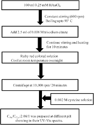 A Flow Chart Showing All Stages Of The Synthesis And Capping