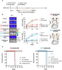I get an error before the main menu comes, saying: Engineering Clinically Approved Drug Gated Car Circuits Biorxiv