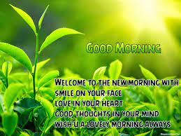 Maybe you would like to learn more about one of these? Good Morning Quotes In Sinhala Quotesgram