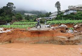 Landslide locations were identified in the study area from interpretation of aerial photographs and field surveys. Stop Land Clearing Or Face Bigger Floods Landslides